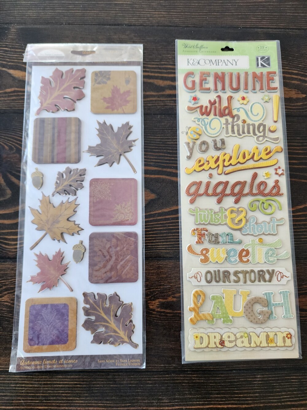 Scrapbooking Stickers - Fall 3D Jumbo Sheets - K&Co Lot New Retired #22